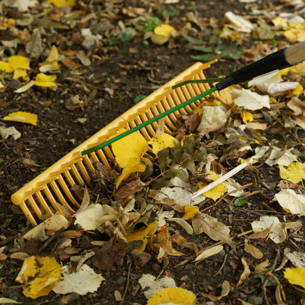 Carters Perennial Lawn Rake 32 Tine Polypropylene