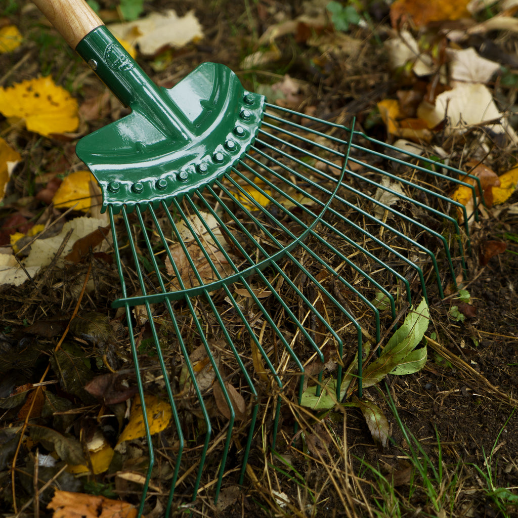 Carters PerennialPRO 20T Spring Lawn Rake