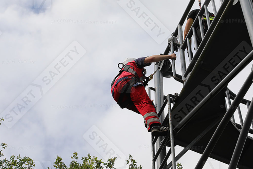 JSP K2 5-point Premium Harness | FAR0403