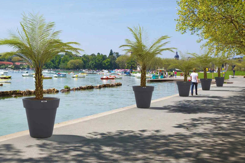 Procity heritage Planter Arranged In Line In Situ Along a River Front