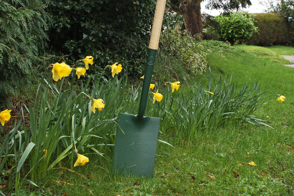 Carters Perennial Border Spade