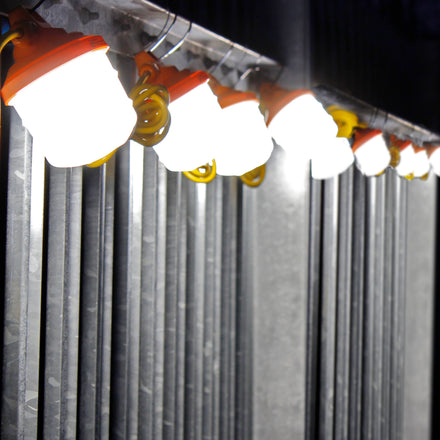 T19 Festoon Lighting | 110v String LED Lights