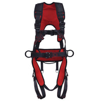 2-Point Safety Harnesses