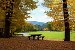 Park Benches & Outdoor Tables