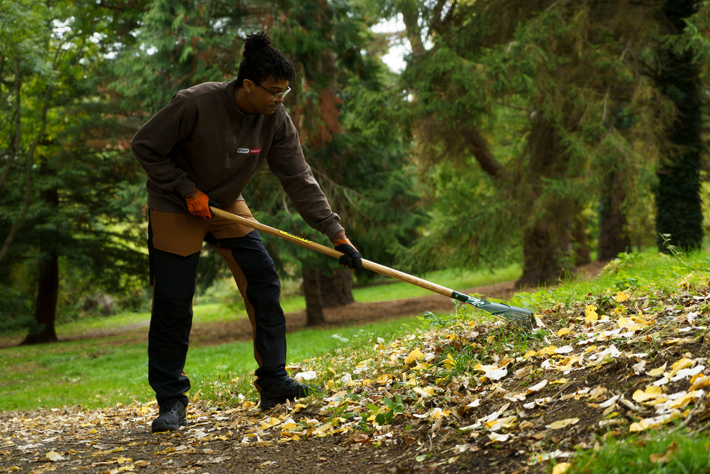 Carters PerennialPRO 20T Spring Lawn Rake