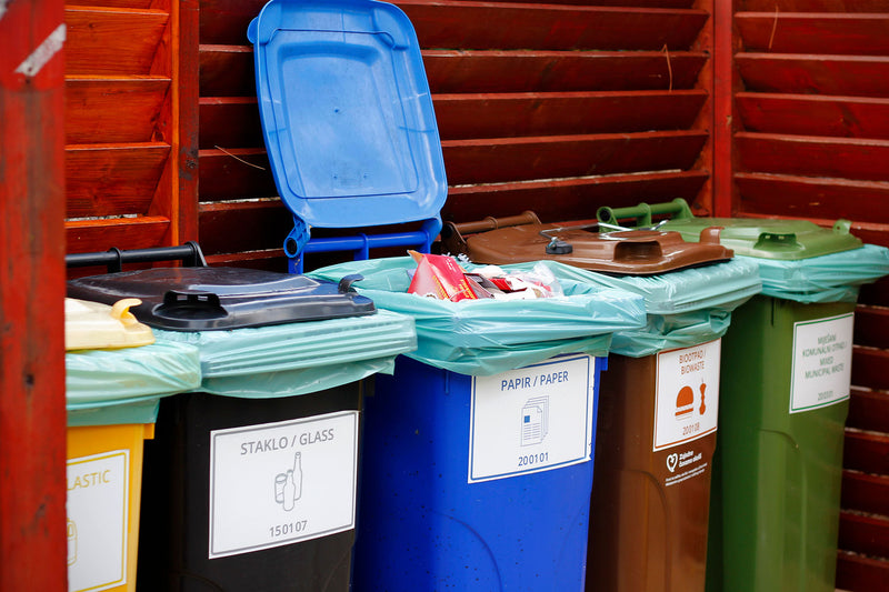 Sorted Bins Inside Vibrant Bin Storage Location
