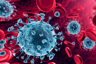 Ecospill_Antiviral