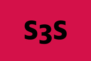 S3S