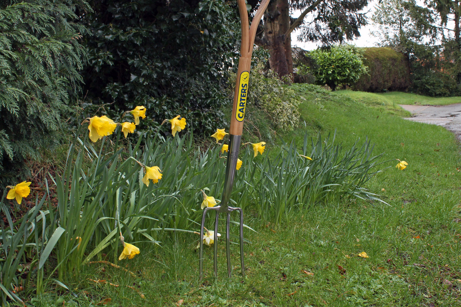 Carters Stainless Steel Garden Fork Perennial Range Start Safety UK