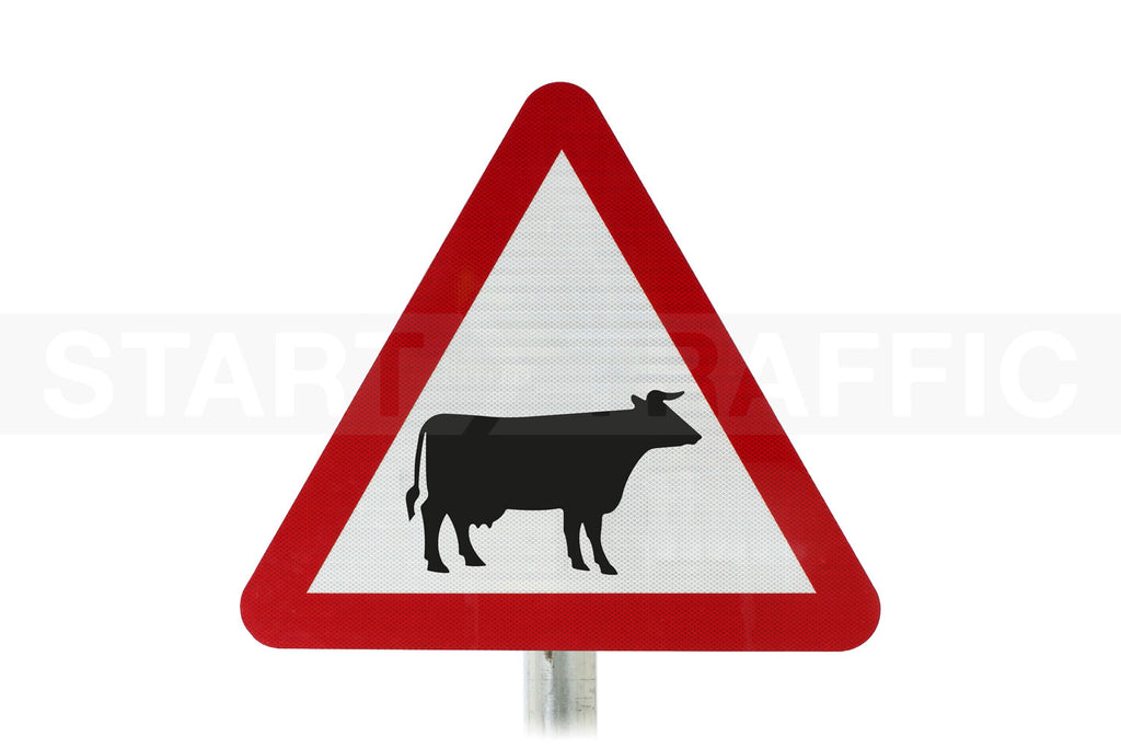 Cattle Likely In Road Ahead Post Mounted Sign - Dia 548 R2/RA2 (Face Only)