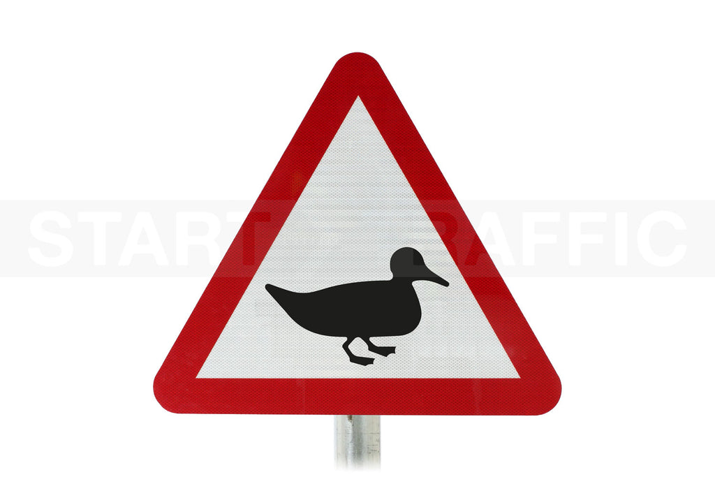 Wild Fowl Likely in Road Ahead Post Mounted Sign - 551.2 R2/RA2 (Face Only)