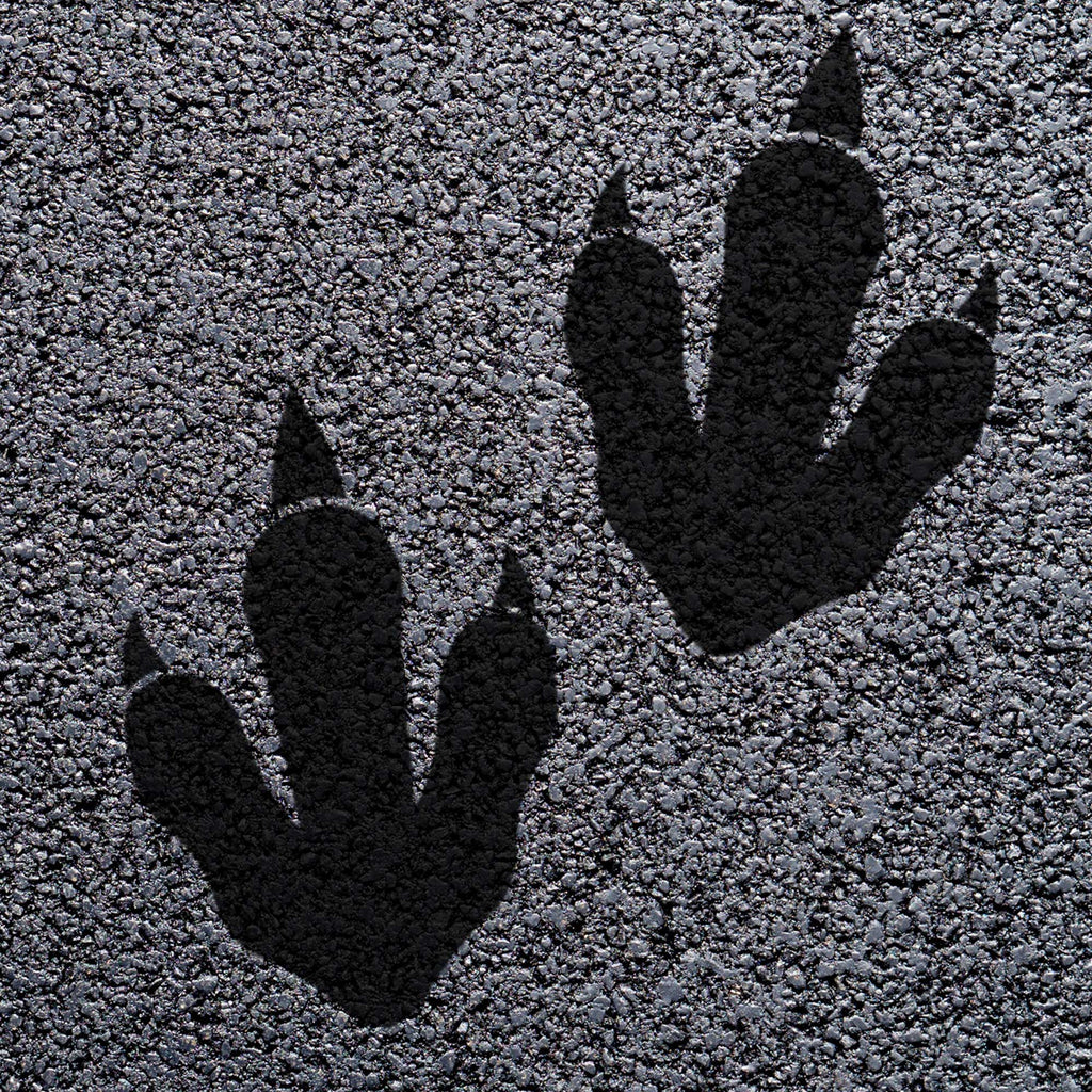 Animal Footprint Playground Markings (Pair) (Black (Jet) - RAL 9005 / Dinosaur Footprint)