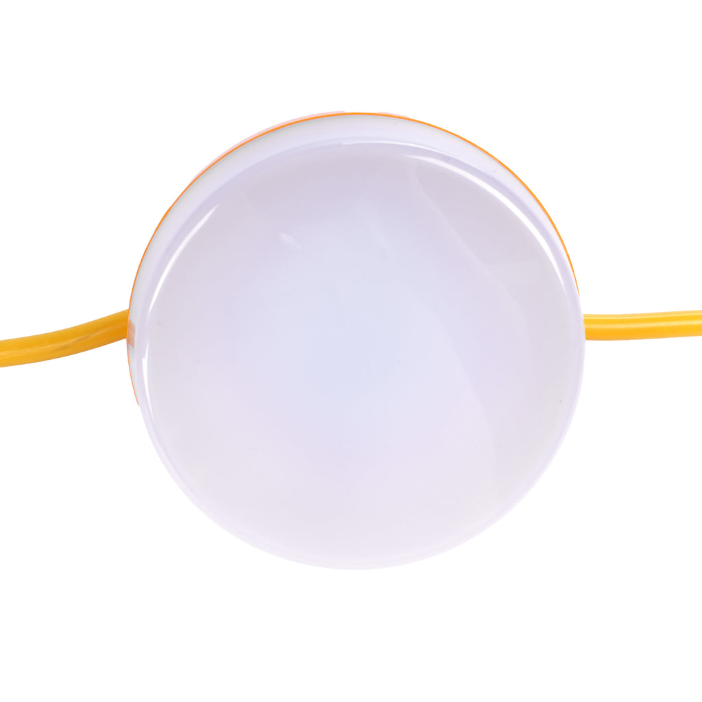 T19 Festoon Lighting | 110v String LED Lights