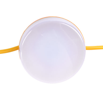 T19 Festoon Lighting | 110v String LED Lights