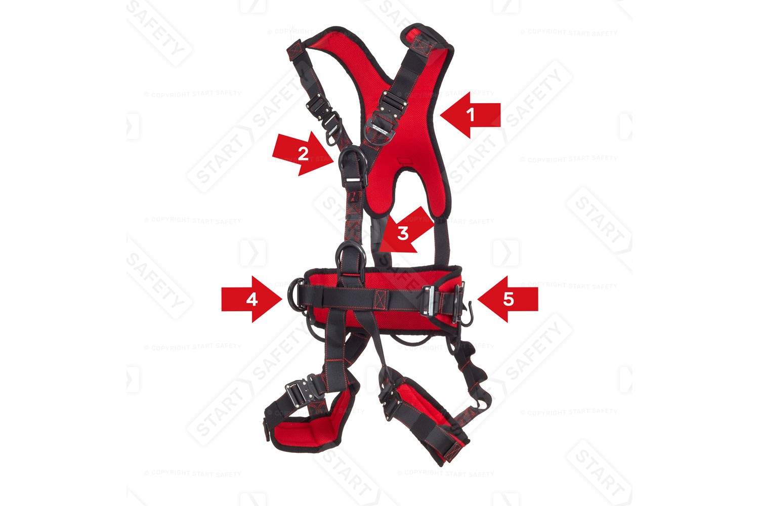 Five Point Harness