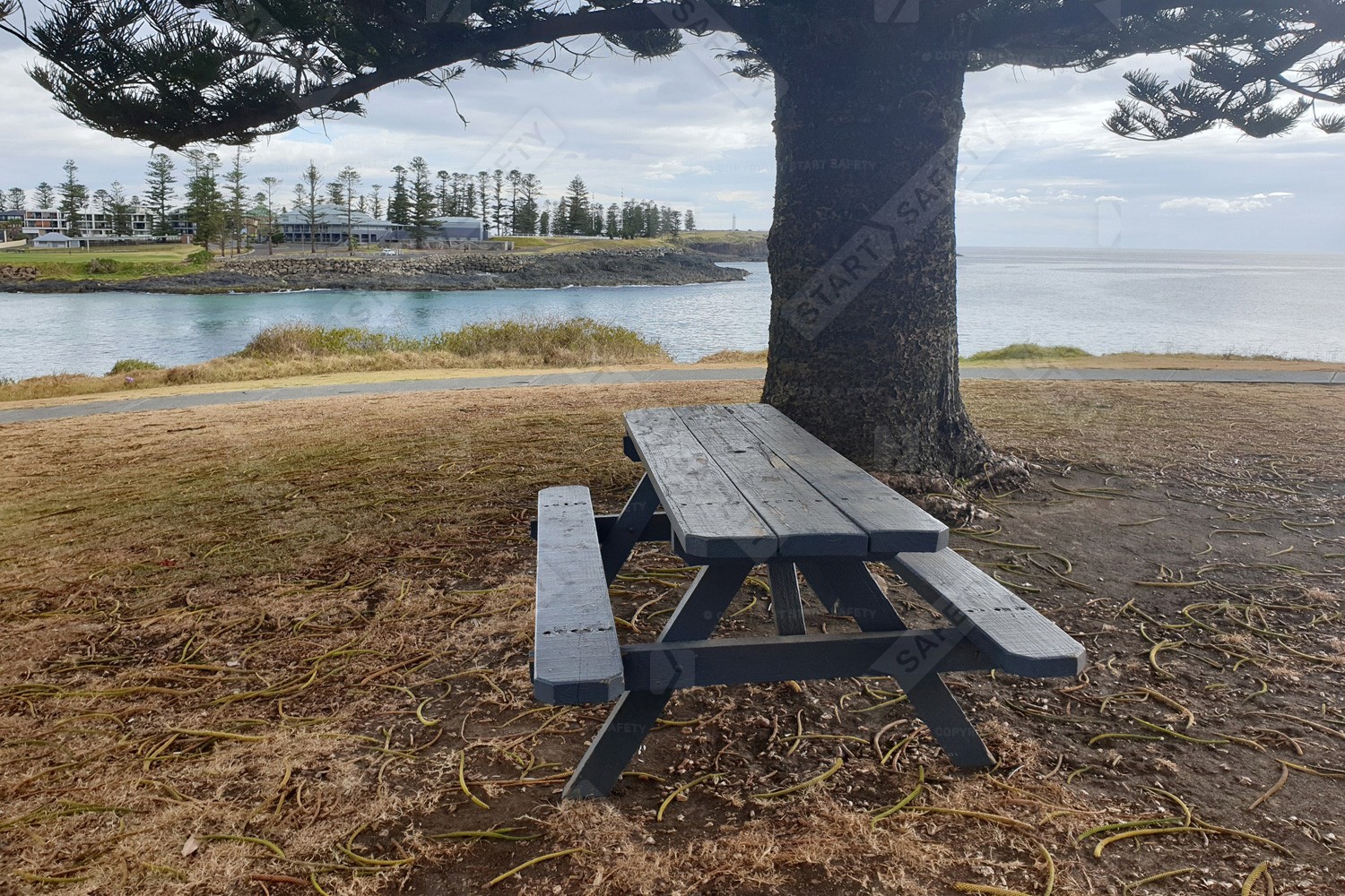 Picnic Bench and Table