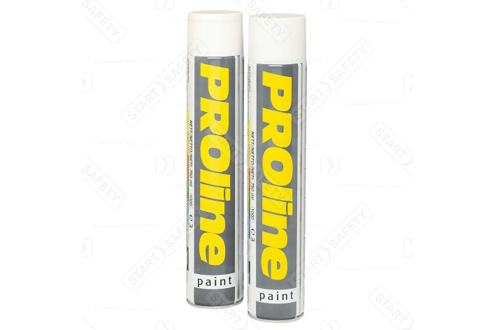PROline Spray Paint 750ml - Indoor & Outdoor Use   