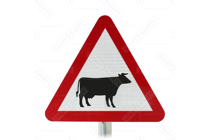 Cows In The Road Sign Face Post Mounted 548, (Face Only)