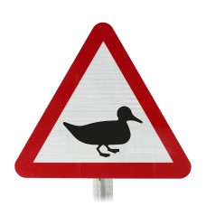 Wild Fowl Likely in Road Ahead Post Mounted Sign - 551.2 R2/RA2 (Face Only)