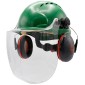 JSP EVO3 Visor & Ear Defender Hard Hat Kit | Green