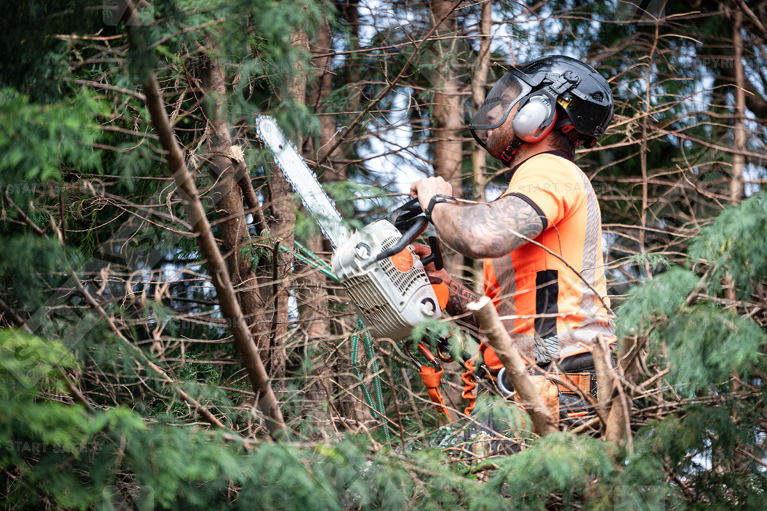 Worker With A Chain Saw Cutting Trees While Wearing A Hard Hat