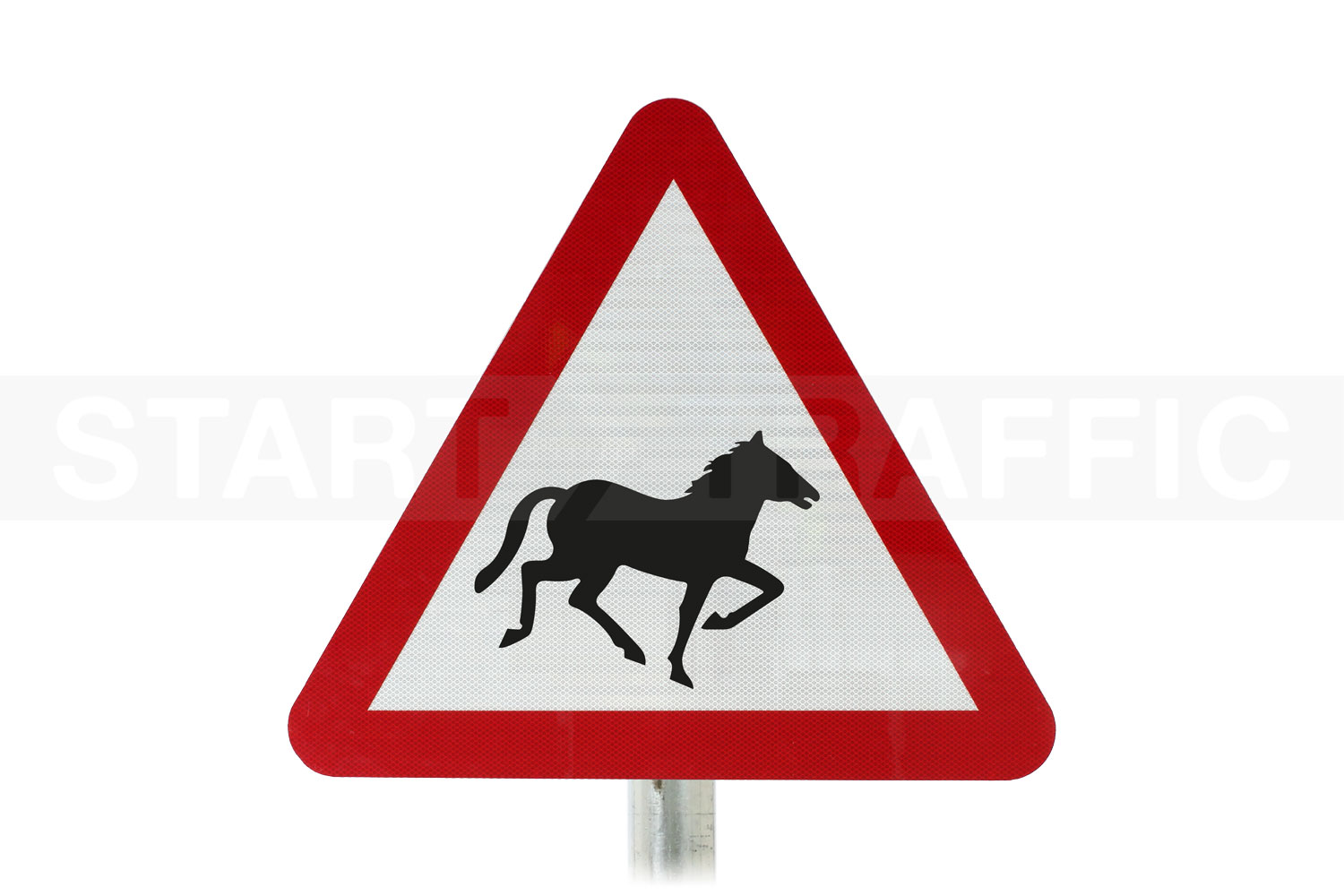 Wild horses or ponoes likely in road ahead Post Mount sign